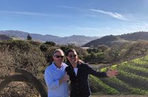 Private Guided Wine Country Tour from Santa Barbara