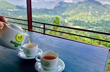 Ella Private Day Tour From Kandy