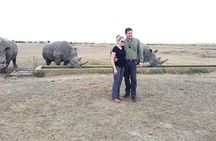 Day safari to Olpejeta Rhino conservancy