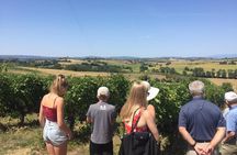 Wine and olive oil tastings with the locals 
