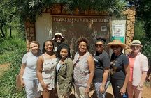 Pilanesberg national park full-day guided tour