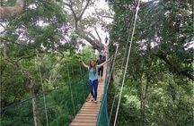 Full day of adventures in Tambopata