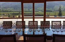 Colchagua Valley Experience 