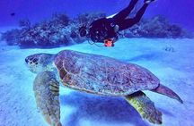 Two tanks local diving for certified divers, SCUBA gear included