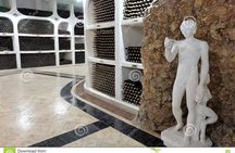 CRICOVA Winery tour with tasting from Chisinau