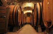 CRICOVA Winery tour with tasting from Chisinau