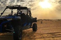 Excursion to Paracas: Huacachina and the Nazca Lines During 2D/1N from Lima