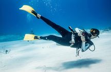 Two tanks local diving for certified divers, SCUBA gear included