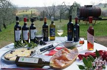 Wine Tour Experience at Agricola Tamburini