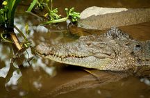 Photography Tour at Natura Eco Park
