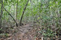 Hiking Day Tour 