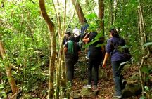 Hiking Day Tour 