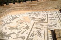 Italica: 3-hour city tour of the emperors from Seville
