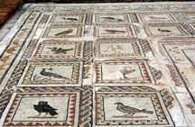 Italica: 3-hour city tour of the emperors from Seville