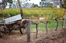 Maggie Beer Farm - Barossa Valley Regional Tour