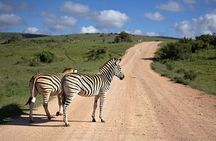 7 Days Mara/L.Naivasha/L.Nakuru/Amboseli