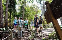 Private Kulen Mountain and Beng Mealea Temple Tour