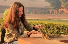 Delhi and Taj Mahal 2 Days Private Tour
