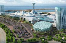 Abu Dhabi City Tour from Dubai - Full Day (optional)