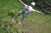Zip-Line /Monkey and Sloth Sanctuary /west beach 