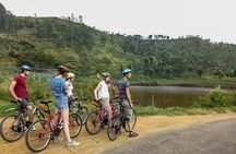 Ellawala Waterfall Cycling Tour from Ella