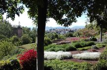 Alhambra private tour (without tickets) total/group Max 15 people