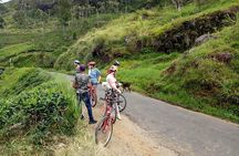 Ellawala Waterfall Cycling Tour from Ella