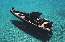 Private Speedboat Cruise from Delos to Rhenia and Mykonos