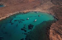 Private Speedboat Cruise from Delos to Rhenia and Mykonos