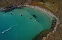 Private Speedboat Cruise from Delos to Rhenia and Mykonos