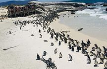 Private Tour Cape of Good Hope & Penguins Sightseeing Full day 