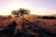 Adelaide to Coober Pedy 7-Day Small Group 4WD Eco Safari
