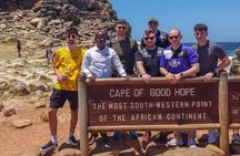 Private Tour Cape of Good Hope & Penguins Sightseeing Full day 