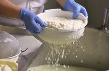Halloumi Heaven: Cheese-Making Class & Troodos Mountain Villages 7h