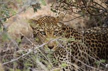 07 Days Sri Lanka Tour - Splendid Ceylon