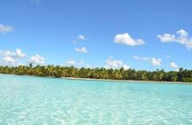 Saona Island Private +8 People Platinum Transfer