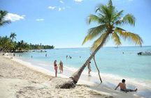 Saona Island Private +8 People Platinum Transfer