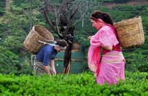 3 Days Glimpse of Sri Lanka