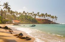 Galle Day Tour from Colombo/Negombo by Private Car or Van