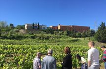 Montserrat & best winery private tour experience with a local expertise