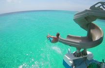 Dolphin Catamaran Snorkel and Sail with Open Bar 