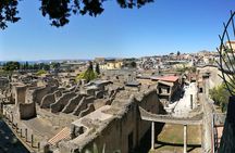 4/hours Half Day Trip Excursion to Herculaneum - Guide included