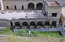 4/hours Half Day Trip Excursion to Herculaneum - Guide included