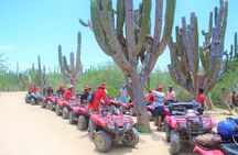 ATV Desert & Beach ride over the mountains and through Migrino beach! 