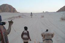 White Canyon 1-Day Camel Safari from Dahab