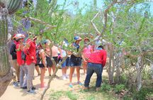 Candelaria Village Desert & Beach ATV tour