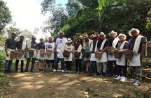 Coffee Tour - All inclusive - Medellín
