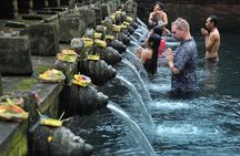 Private Chartered Car to Bali Temples and Kintamani
