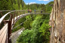 Small Group Tour: Vancouver Sightseeing and Capilano Suspension Bridge