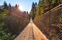 Small Group Tour: Vancouver Sightseeing and Capilano Suspension Bridge